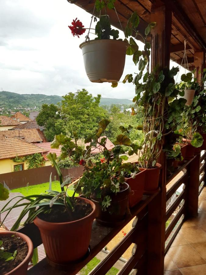 Guest house Pensiunea Cristiana