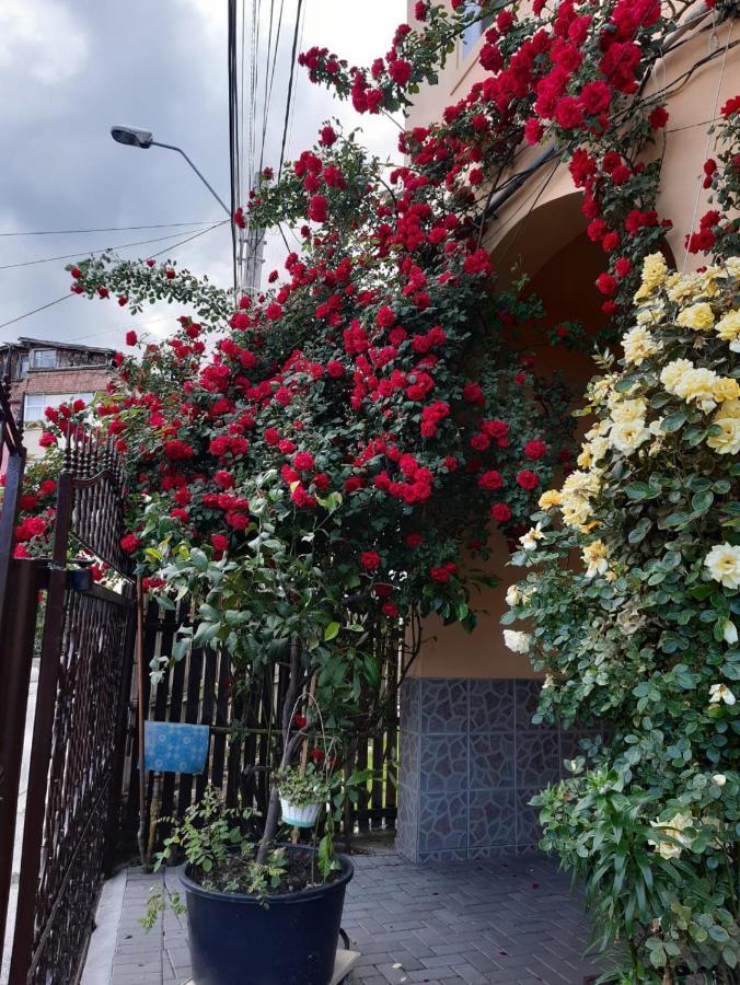 Guest house Pensiunea Cristiana