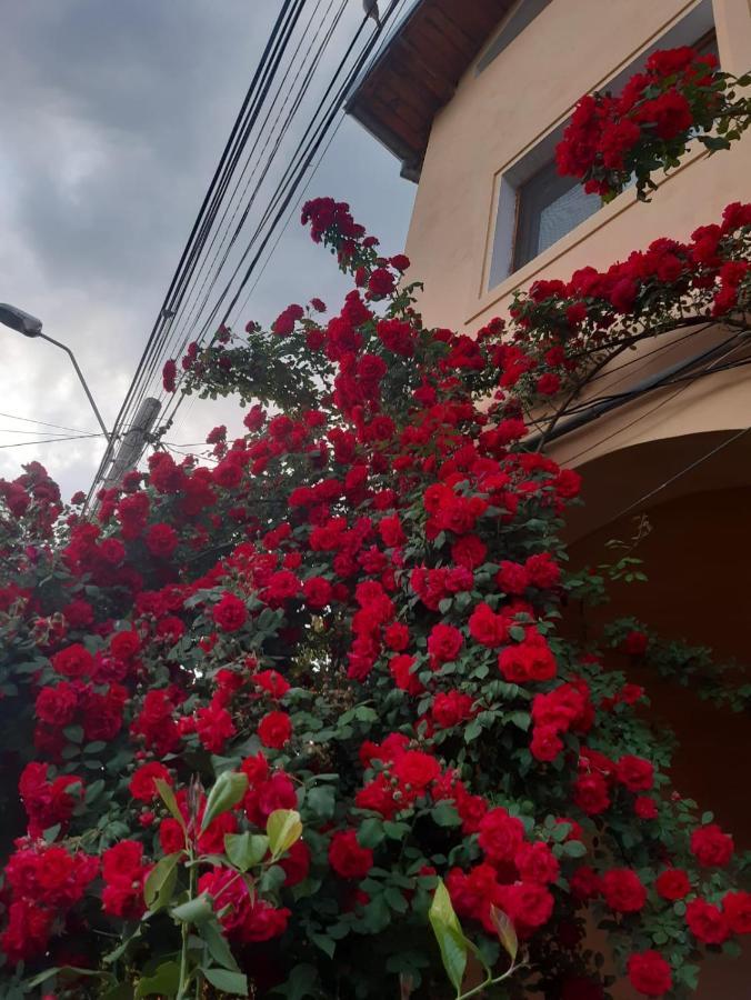 Guest house Pensiunea Cristiana Curtea De Arges